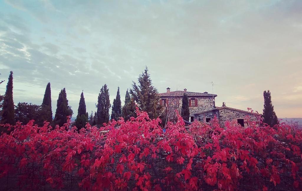 Casa Al Maestro B&B Radicofani Εξωτερικό φωτογραφία