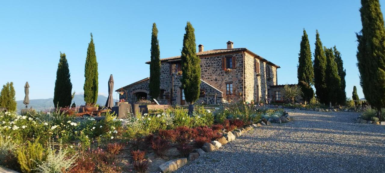 Casa Al Maestro B&B Radicofani Εξωτερικό φωτογραφία